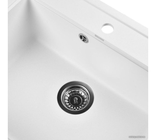 Кухонная мойка Wisent 600-28W с сифоном GER013