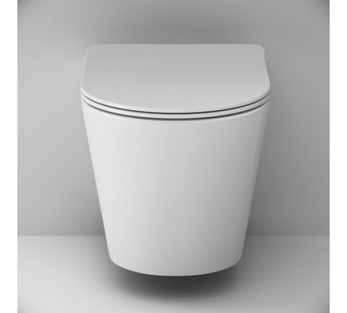 Унитаз подвесной AM.PM Sunny Flashclean C85C1701SC с сиденьем