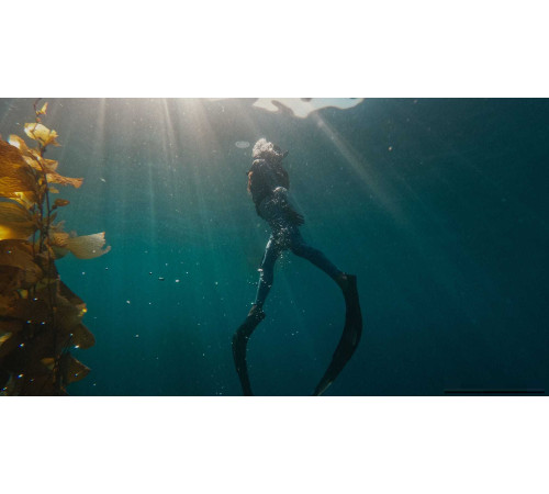 Экшен-камера GoPro HERO11 Black Mini