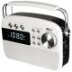 Радиоприемник Ritmix RPR-705