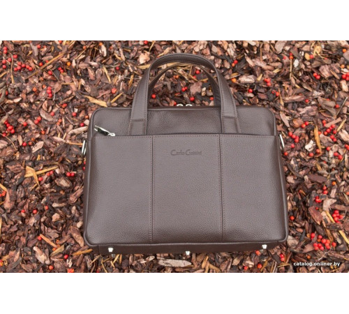 Сумка Carlo Gattini Vezzani 1018-04 темно-коричневый