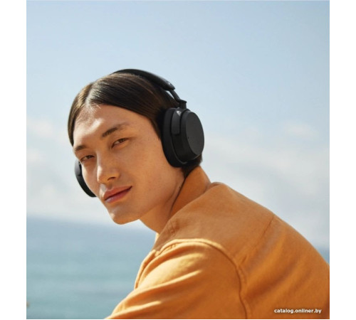 Наушники Sennheiser Accentum Wireless черный