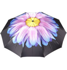 Зонт Rain Berry 734-23340.2 черный/голубой