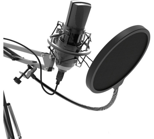 Микрофон Ritmix RDM-180