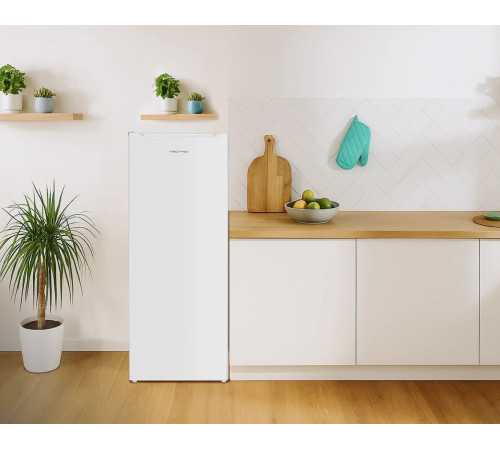 Однокамерный холодильник TECHNO DF1-20N