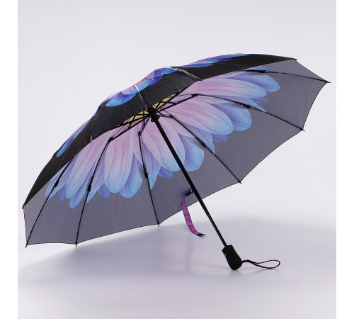 Зонт Rain Berry 734-23340.2 черный/голубой