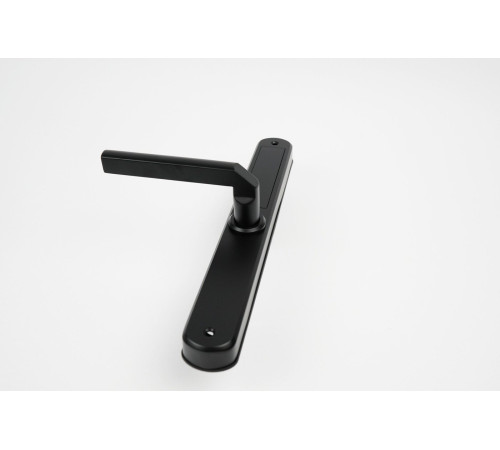 Дверной замок Roome Waterproof TTLock Digital Fingerprint Aluminum Door Lock A2