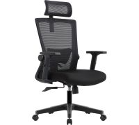 Офисное кресло Evolution ErgoLine 1 черный