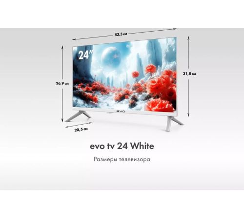 Телевизор Evo TV 24 White TD0051748RU