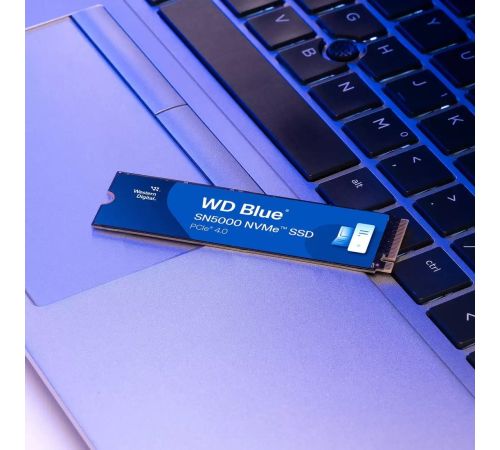 SSD WD Blue SN5000 500GB WDS500G4B0E