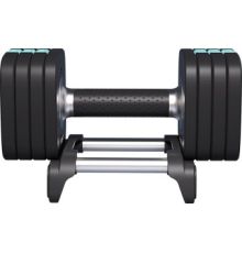 Гантель Proiron ГБ1100Р 10 кг