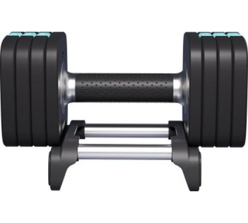 Гантель Proiron ГБ1100Р 10 кг