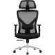 Офисное кресло Evolution ErgoLine 2 черный