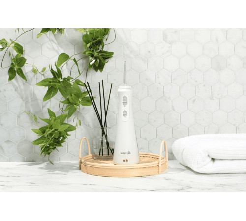 Ирригатор  Waterpik WP-490