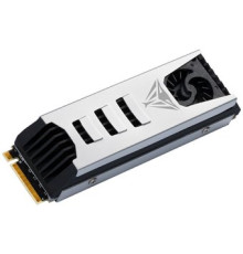 SSD Patriot Viper PV553 4TB PV553P4TBM28H