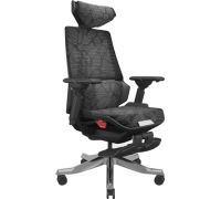 Игровое геймерское кресло ErgoSmart Bloodragon черный/серебристый