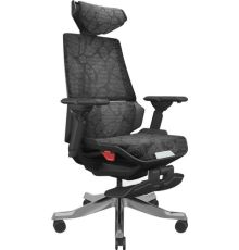 Игровое геймерское кресло ErgoSmart Bloodragon черный/серебристый