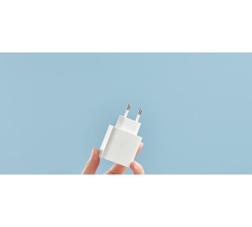 Сетевое зарядное Xiaomi Mi 33W Wall Charger AD332EU международная версия