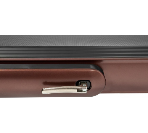 Электрическая беговая дорожка Titanium Masters Slimtech C10 коричневый