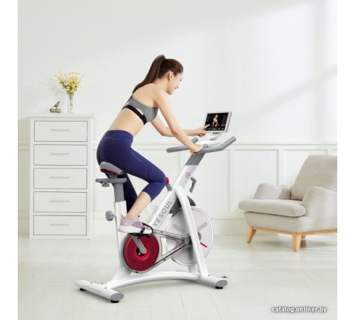 Велотренажер DFC Yesoul S3 Pro белый