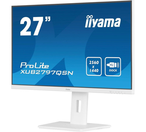 Монитор iiyama ProLite XUB2797QSN-W2