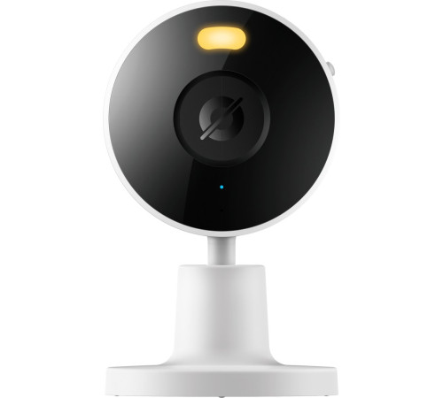 IP-камера Xiaomi Smart Camera C100 MJSXJ25CM международная версия