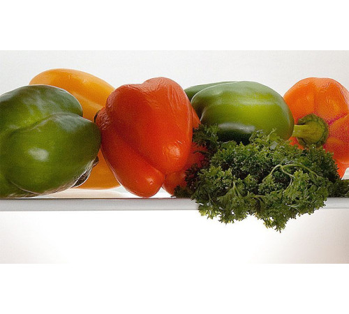 Холодильник POZIS RK-101 серебро