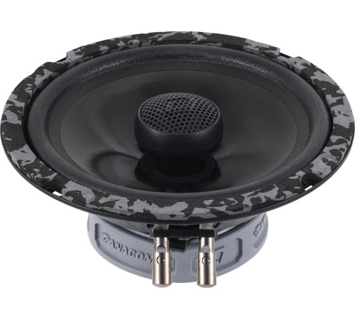 Коаксиальная АС DL Audio Anaconda 165 Coax