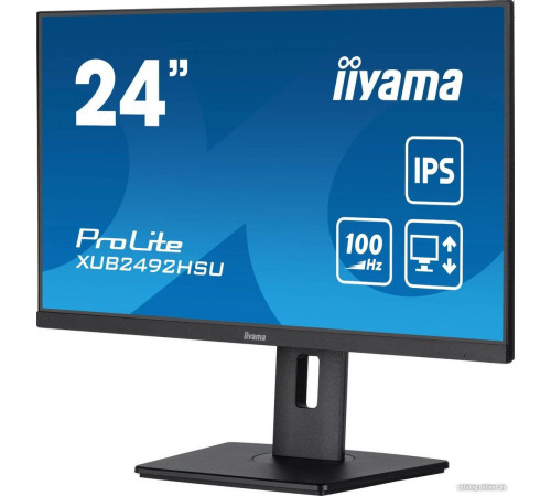 Монитор Iiyama ProLite XUB2492HSU-B6