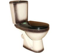 Унитаз Rosa Комфорт черный