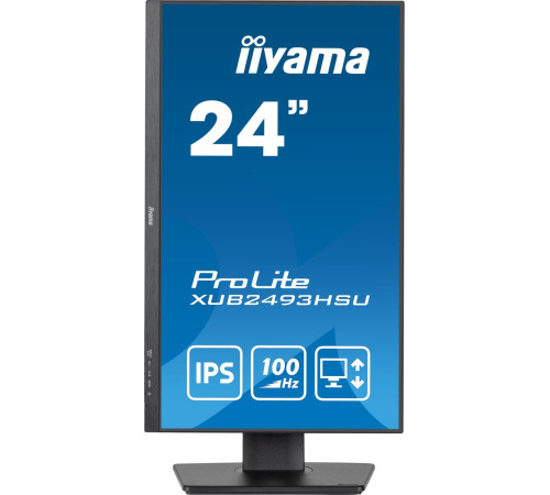 Монитор Iiyama ProLite XUB2493HSU-B7