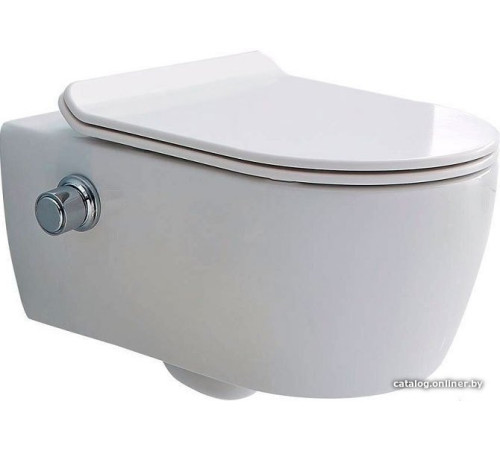 Унитаз подвесной SSWW CT2039V-B