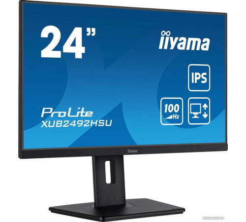 Монитор Iiyama ProLite XUB2492HSU-B6