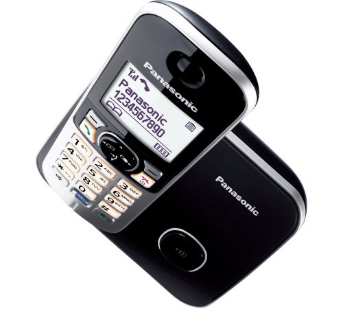 Радиотелефон  Panasonic KX-TG6811RUB