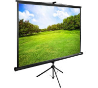 Проекционный экран CACTUS TriExpert 220x165 CS-PSTE-220х165-BK
