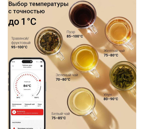 Электрический чайник Redmond Редмонд KG259S черный/тонировка
