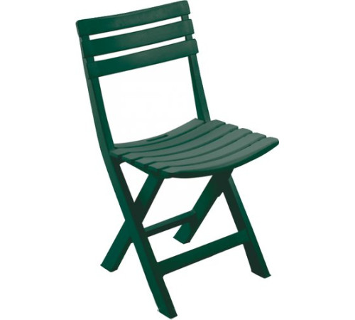Стул Ipae Progarden Birki BIR80CVE зеленый