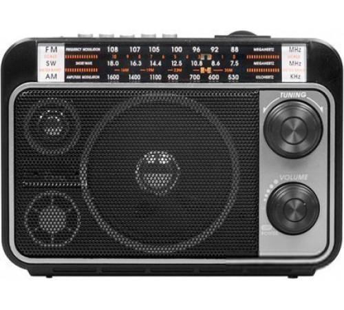 Радиоприемник Ritmix RPR-171