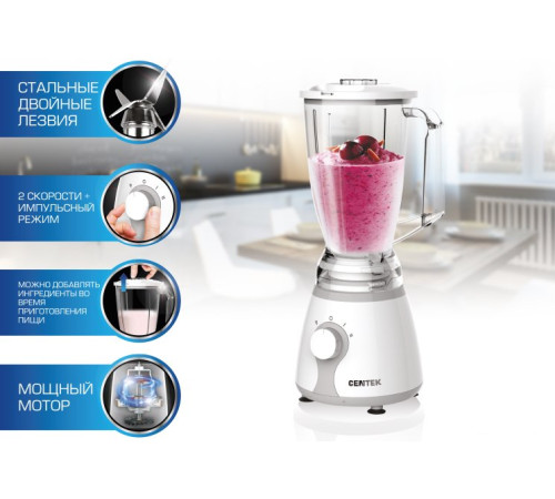 Стационарный блендер CENTEK CT-1326
