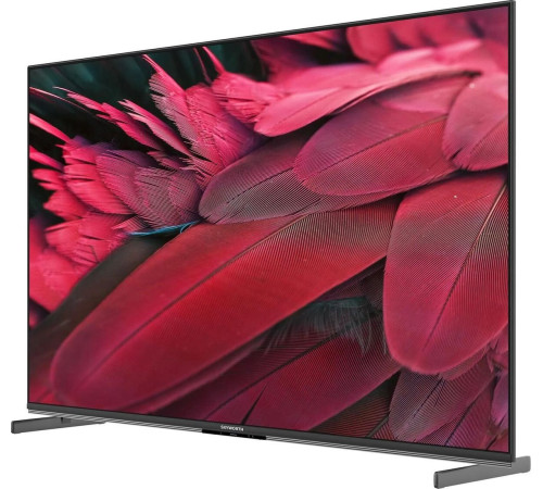 MiniLED телевизор Skyworth 55X85G