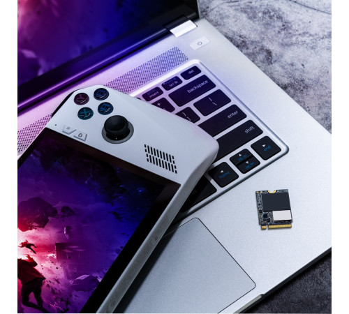 SSD ADATA XPG Gammix S55 512GB SGAMMIXS55-512G-C