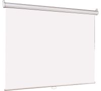 Проекционный экран  Lumien Eco Picture LEP-100102