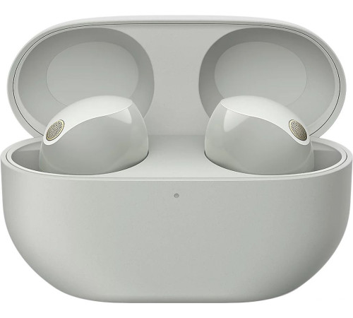 Наушники Sony WF-1000XM5 серебристый