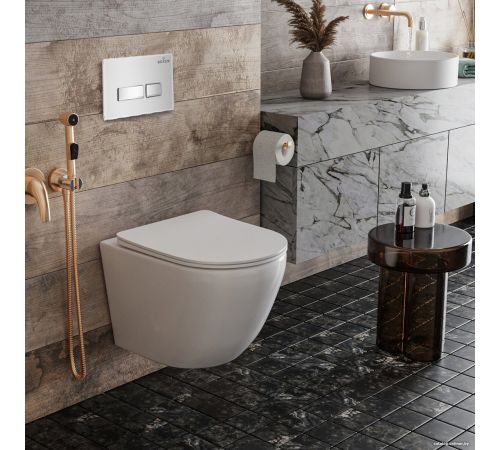 Инсталляция для унитаза Roxen StounFix Dual Fresh 871161