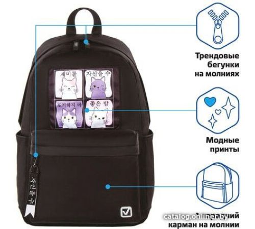Городской рюкзак BRAUBERG Friendly cats 229965