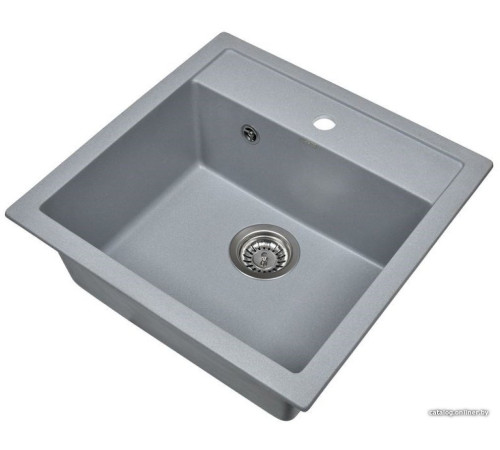 Кухонная мойка Wisent 510-29W с сифоном GER013