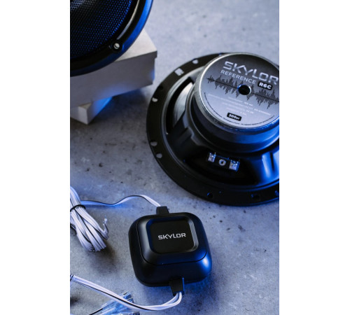 Компонентная АС Skylor R6C