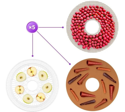 Сушилка для овощей и фруктов Kitfort KT-1996