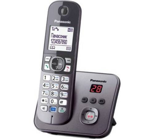 Радиотелефон  Panasonic KX-TG6821RUB