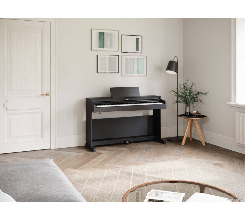 Цифровое пианино Yamaha Arius YDP-165 черный